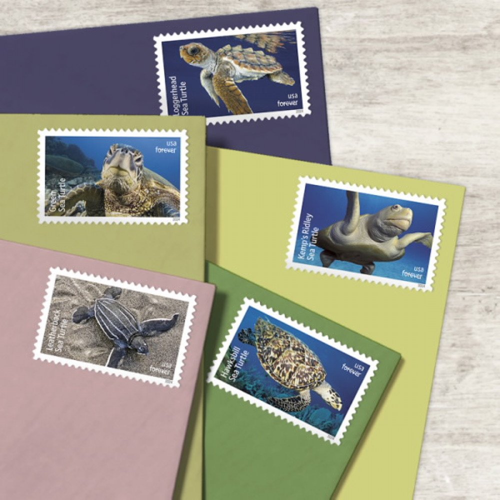 2024 Protect Sea Turtles Stamps 2024 Protect Sea Turtles Stamps