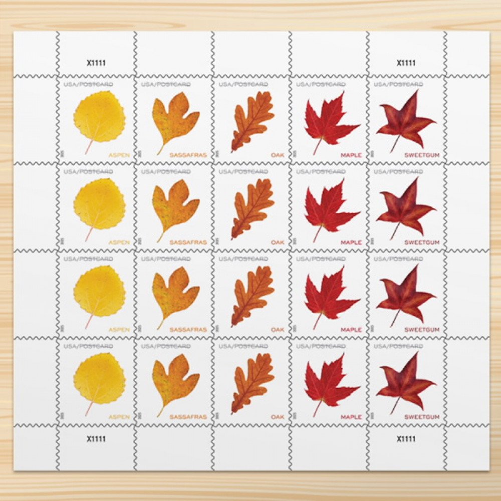2025 Vibrant Leaves Postcard Stamps, Sheetof 20 Postcard |Multiple Stamp Designs and Formats 2025 Vibrant Leaves Postcard Stamps, Sheetof 20 Postcard |Multiple Stamp Designs and Formats