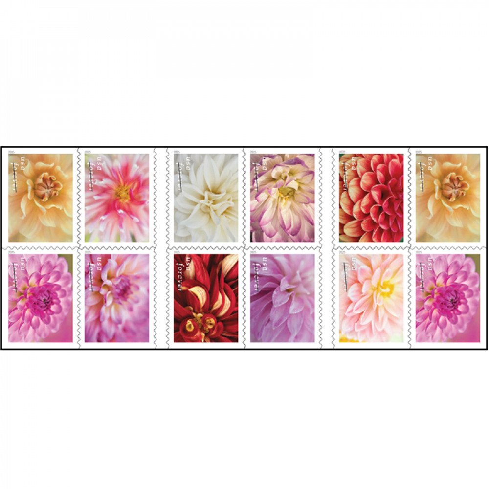 2025 Dahlias Stamps Book of 20 2025 Dahlias Stamps Book of 20