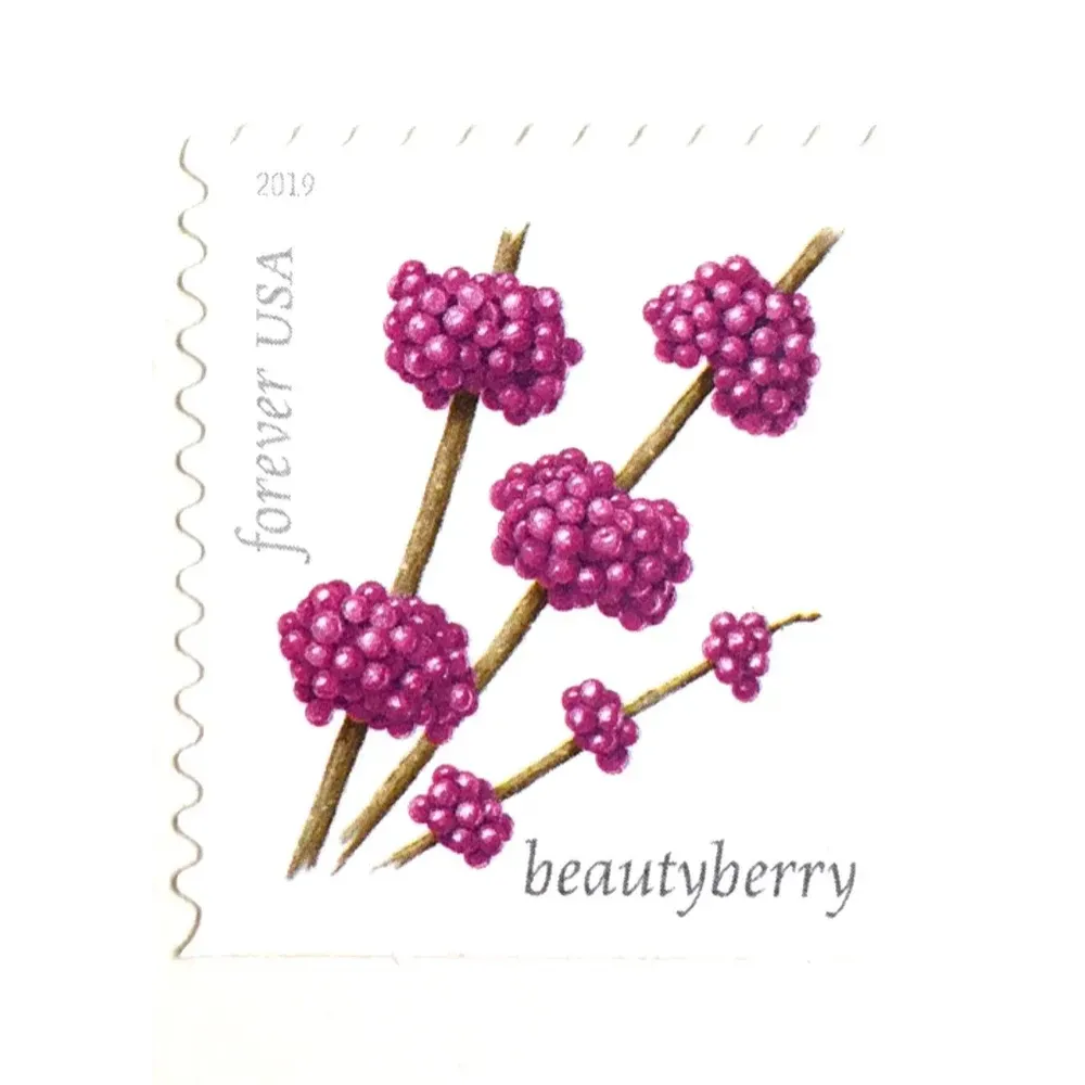 (2019) USPS Winter Berries First Class Forever Postage Stamps (2019) USPS Winter Berries First Class Forever Postage Stamps