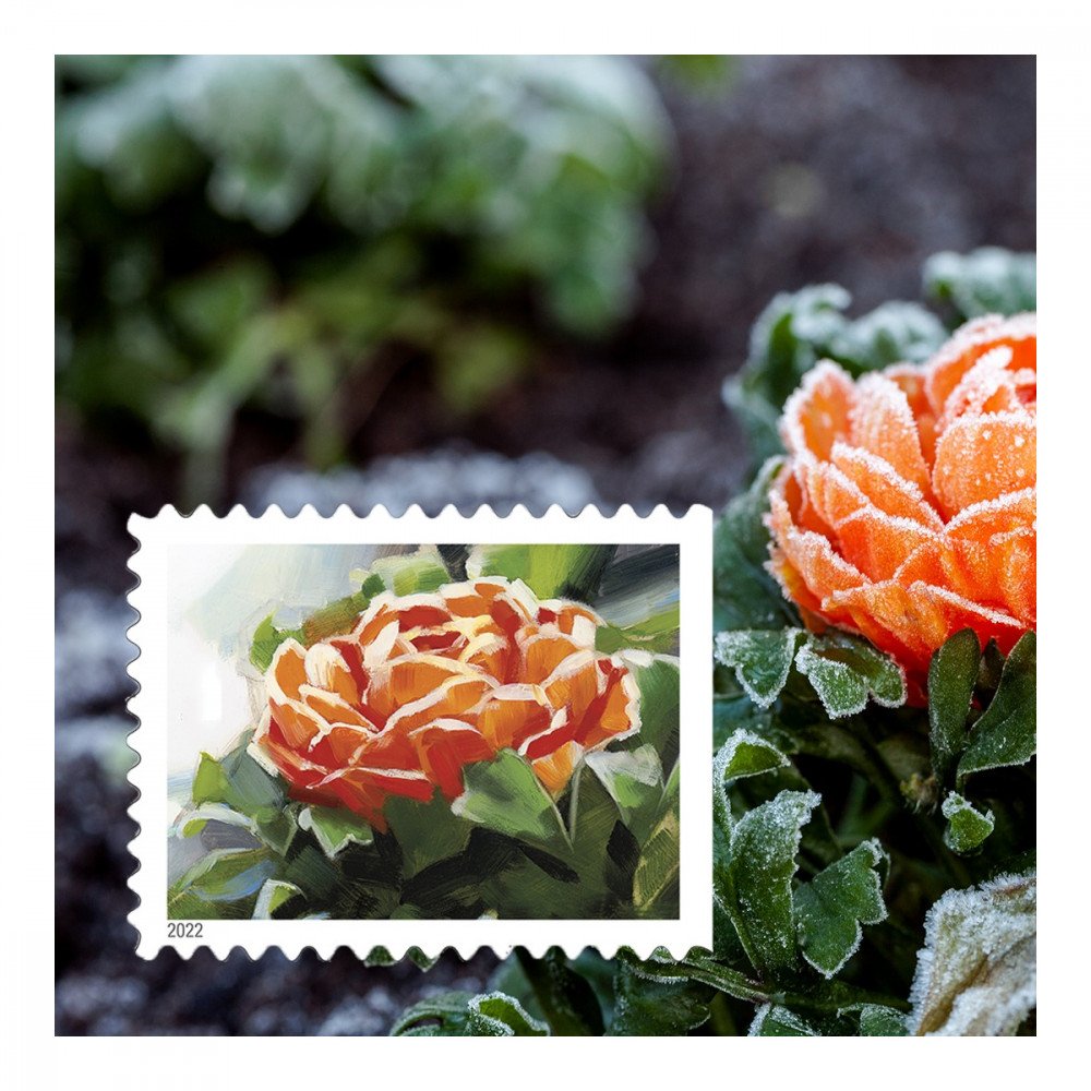 2022 USPS Snowy Garden Beauty Forever Postage Stamps 2022 USPS Snowy Garden Beauty Forever Postage Stamps