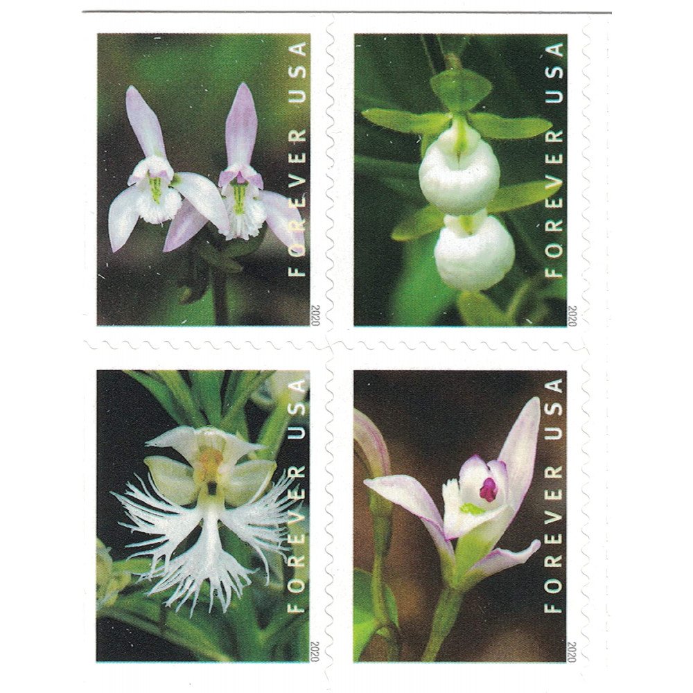 (2020) USPS Wild Orchids Forever Postage Stamps (2020) USPS Wild Orchids Forever Postage Stamps