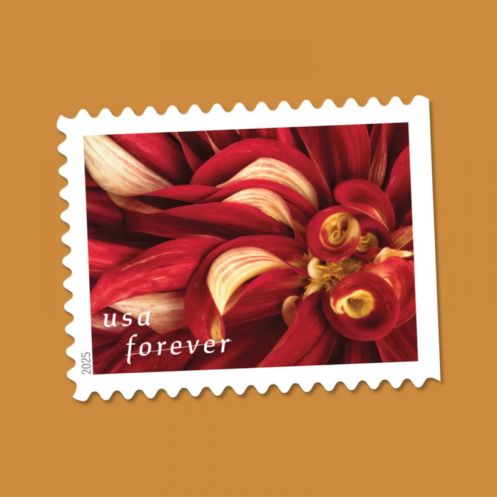 2025 Dahlias Stamps Book of 20 2025 Dahlias Stamps Book of 20