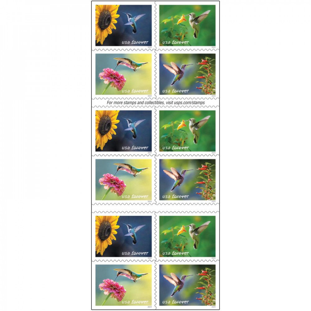 2024 USPS Garden Delights Forever Stamps 2024 USPS Garden Delights Forever Stamps