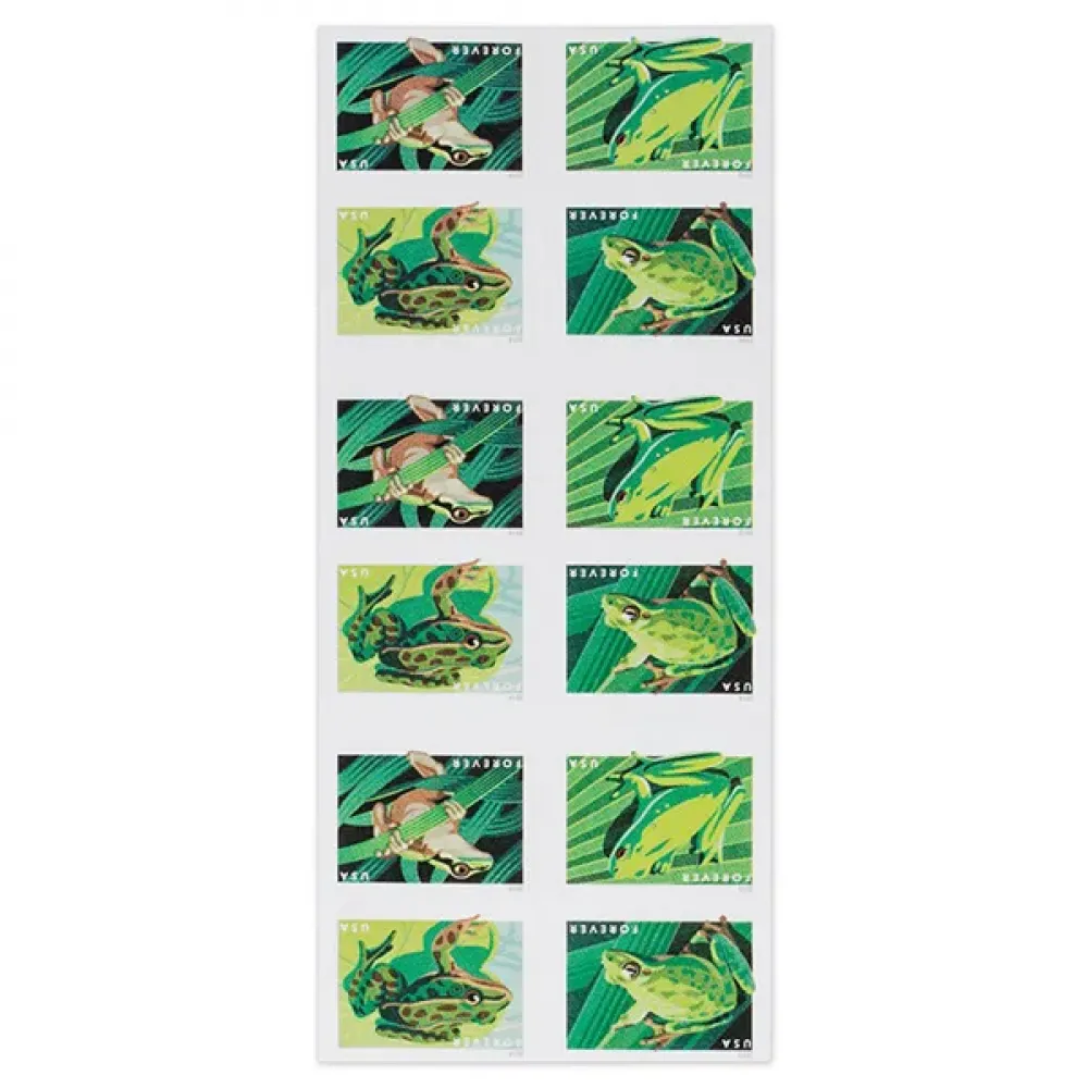 (2019) USPS Frogs Forever First Class Postage Stamps (2019) USPS Frogs Forever First Class Postage Stamps