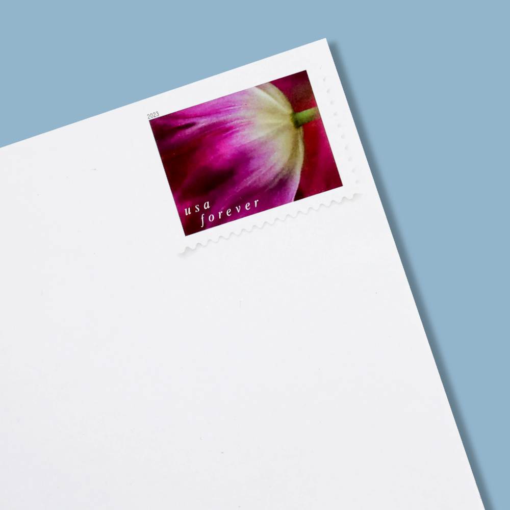 2023 US Tulip Blossoms First-Class Forever Stamps 2023 US Tulip Blossoms First-Class Forever Stamps