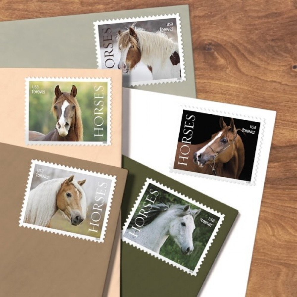 2024 Horses Stamps forever stamps 2024 Horses Stamps forever stamps