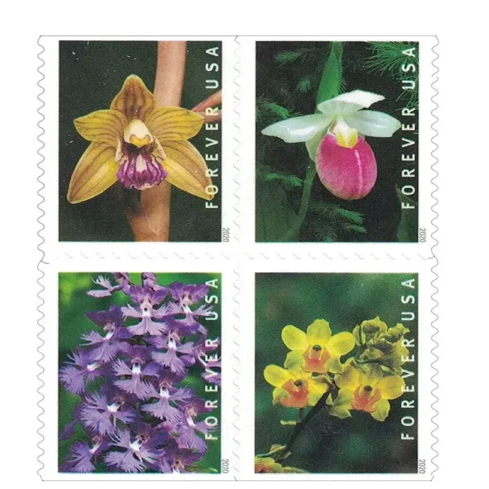 (2020) USPS Wild Orchids Forever Postage Stamps (2020) USPS Wild Orchids Forever Postage Stamps