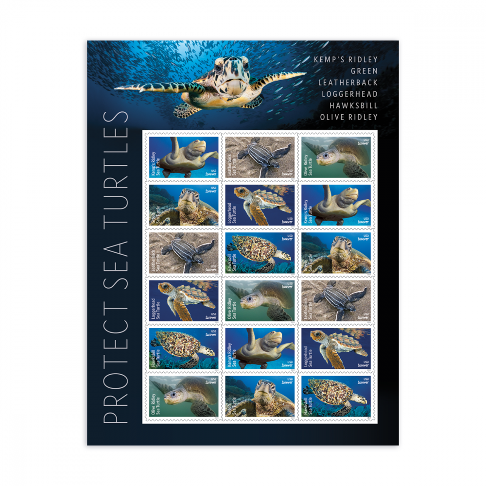 2024 Protect Sea Turtles Stamps 2024 Protect Sea Turtles Stamps