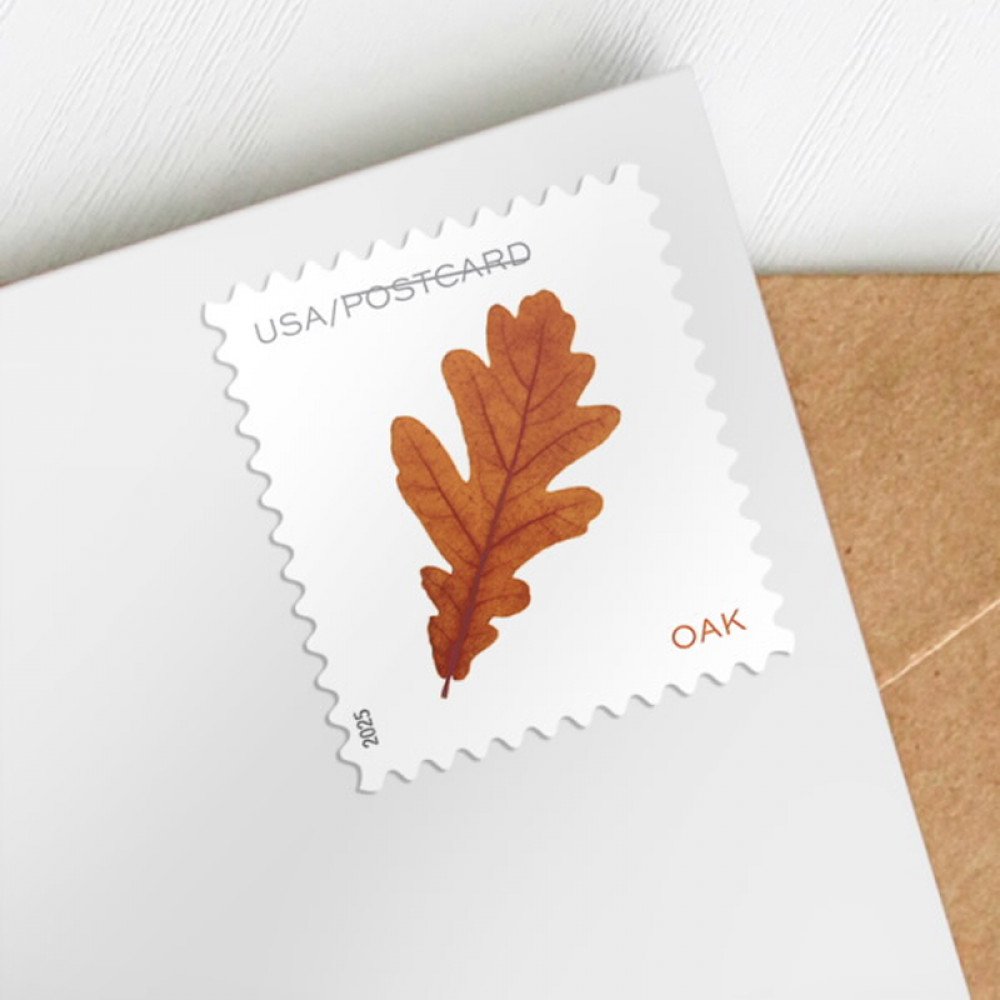 2025 Vibrant Leaves Postcard Stamps, Sheetof 20 Postcard |Multiple Stamp Designs and Formats 2025 Vibrant Leaves Postcard Stamps, Sheetof 20 Postcard |Multiple Stamp Designs and Formats