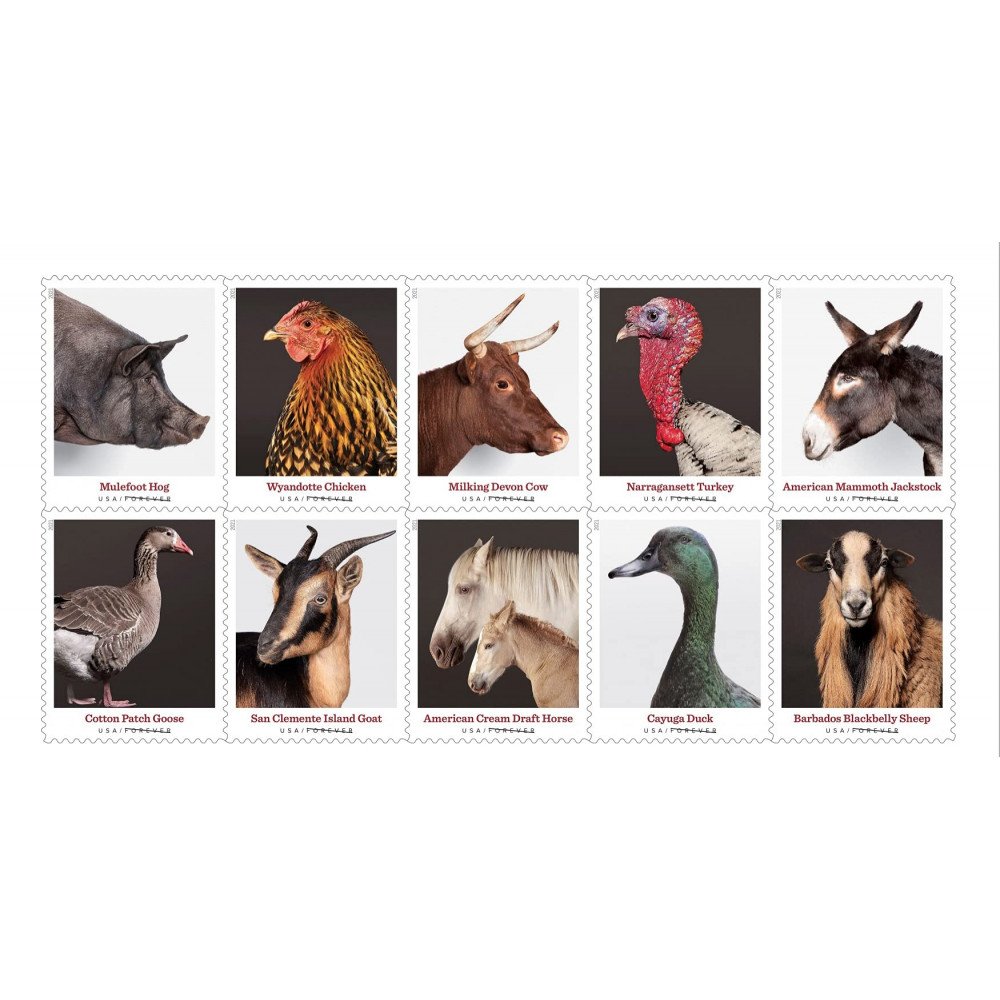 2021 US New Heritage Breeds Forever Postage Stamps 2021 US New Heritage Breeds Forever Postage Stamps
