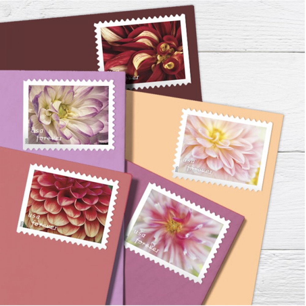 2025 Dahlias Stamps Book of 20 2025 Dahlias Stamps Book of 20