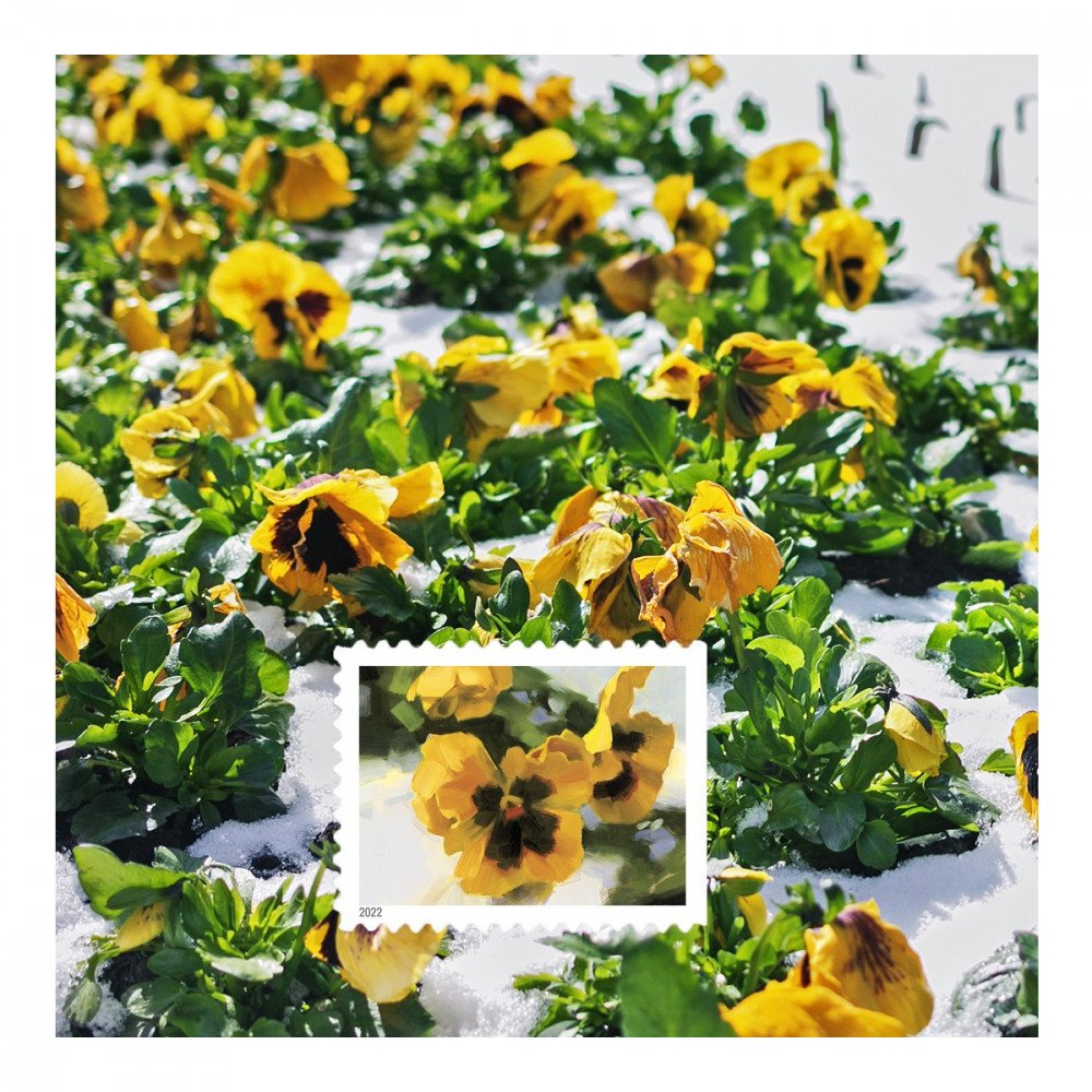 2022 USPS Snowy Garden Beauty Forever Postage Stamps 2022 USPS Snowy Garden Beauty Forever Postage Stamps
