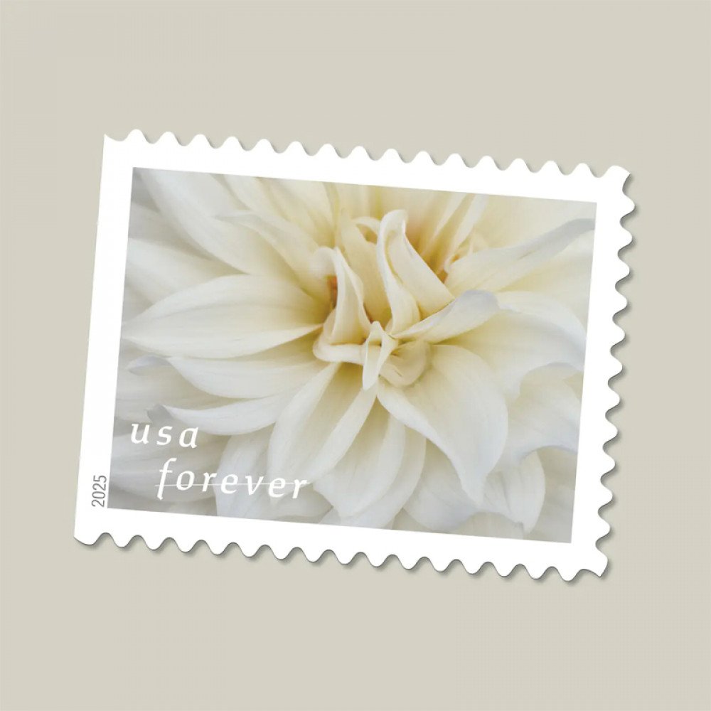 2025 Dahlias Stamps Book of 20 2025 Dahlias Stamps Book of 20
