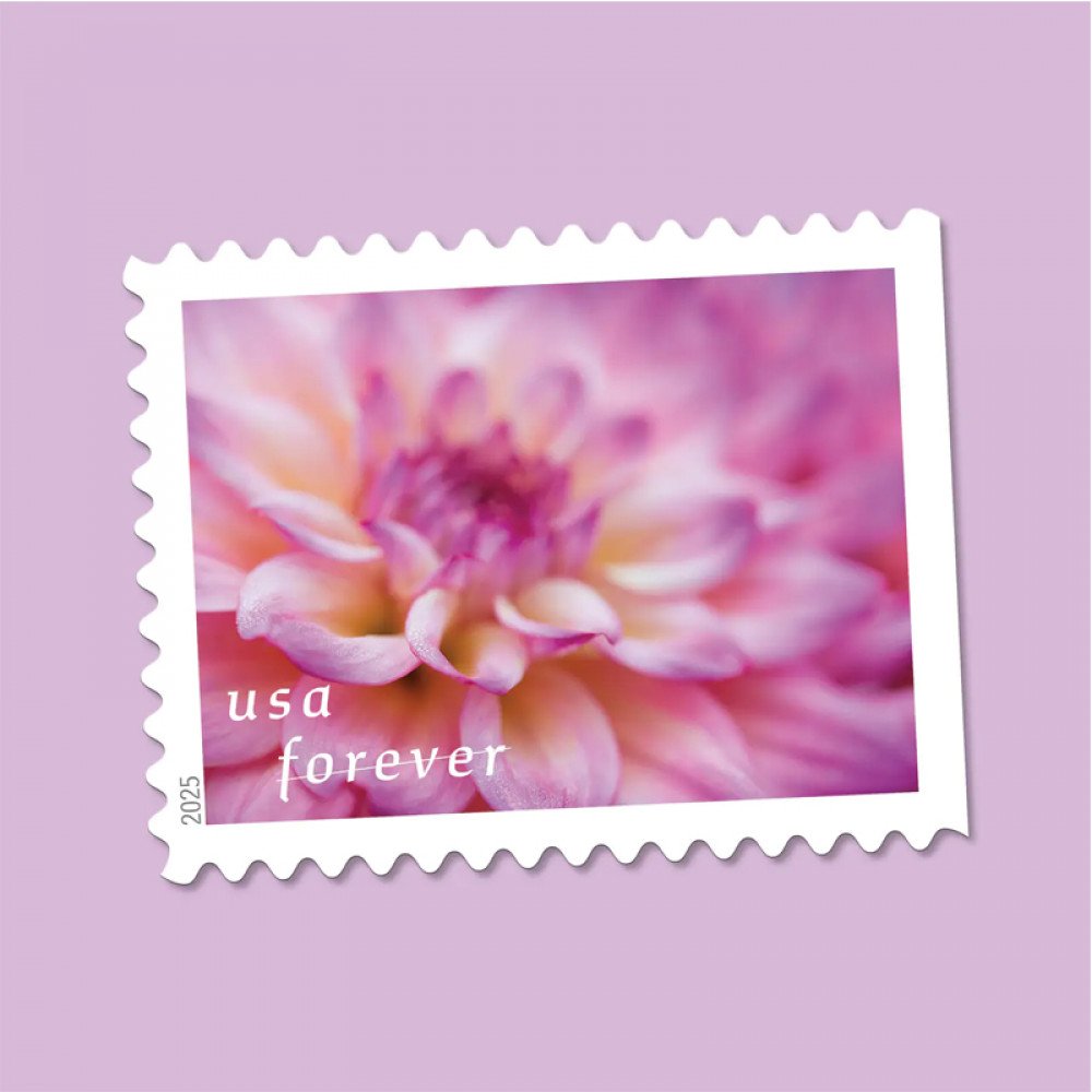2025 Dahlias Stamps Book of 20 2025 Dahlias Stamps Book of 20