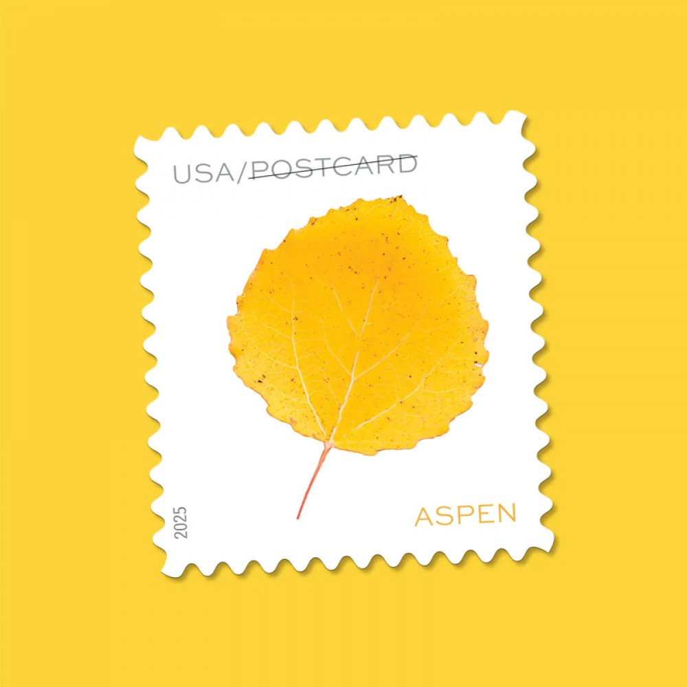 2025 Vibrant Leaves Postcard Stamps, 1 Roll of 100 Pcs Postcard |Multiple Stamp Designs andFormats 2025 Vibrant Leaves Postcard Stamps, 1 Roll of 100 Pcs Postcard |Multiple Stamp Designs andFormats