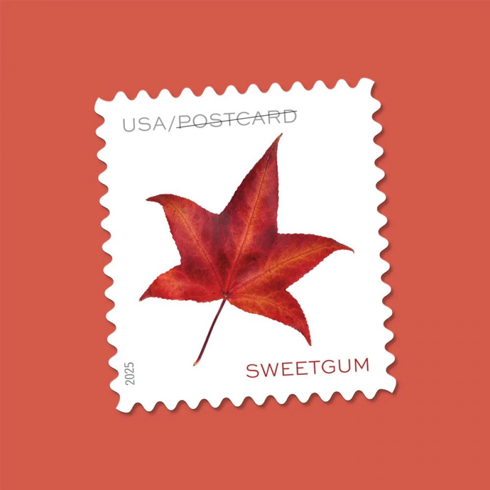 2025 Vibrant Leaves Postcard Stamps, 1 Roll of 100 Pcs Postcard |Multiple Stamp Designs andFormats 2025 Vibrant Leaves Postcard Stamps, 1 Roll of 100 Pcs Postcard |Multiple Stamp Designs andFormats