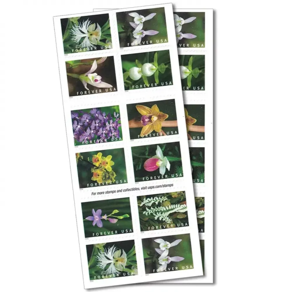 (2020) USPS Wild Orchids Forever Postage Stamps (2020) USPS Wild Orchids Forever Postage Stamps