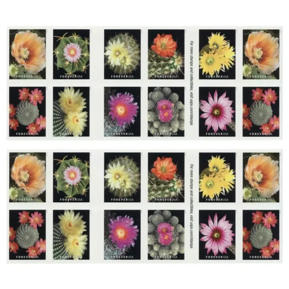 (2019) USPS Cactus Flowers Forever First Class Postage Stamps (2019) USPS Cactus Flowers Forever First Class Postage Stamps