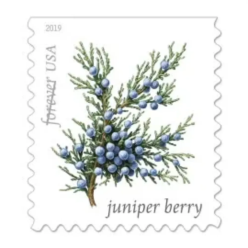 (2019) USPS Winter Berries First Class Forever Postage Stamps (2019) USPS Winter Berries First Class Forever Postage Stamps