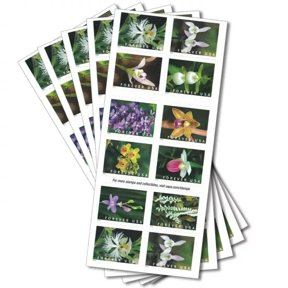 (2020) USPS Wild Orchids Forever Postage Stamps (2020) USPS Wild Orchids Forever Postage Stamps
