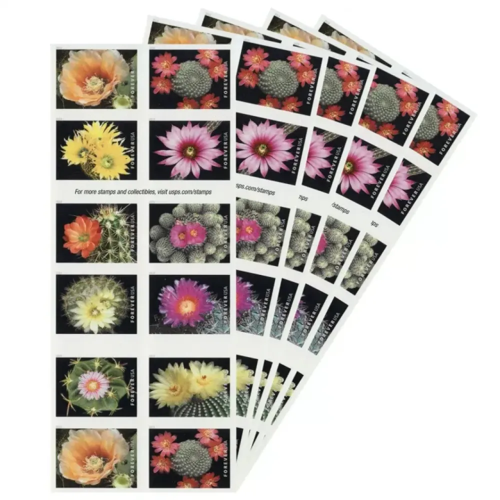 (2019) USPS Cactus Flowers Forever First Class Postage Stamps (2019) USPS Cactus Flowers Forever First Class Postage Stamps