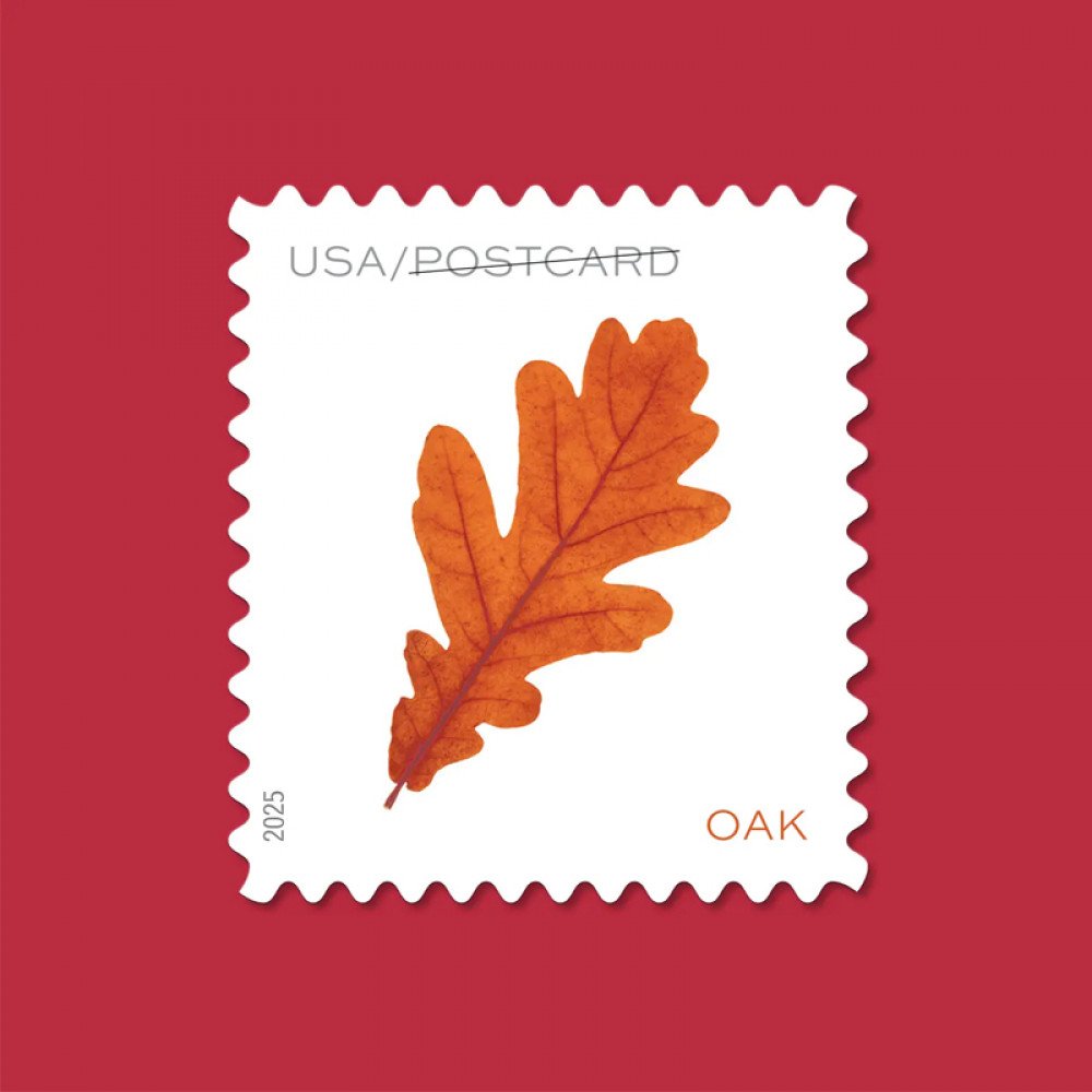 2025 Vibrant Leaves Postcard Stamps, 1 Roll of 100 Pcs Postcard |Multiple Stamp Designs andFormats 2025 Vibrant Leaves Postcard Stamps, 1 Roll of 100 Pcs Postcard |Multiple Stamp Designs andFormats