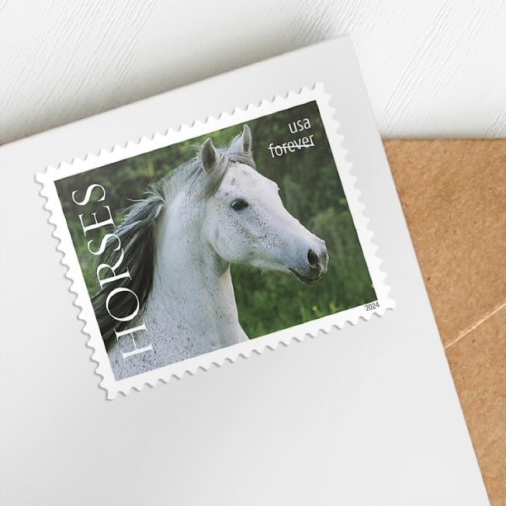 2024 Horses Stamps forever stamps 2024 Horses Stamps forever stamps