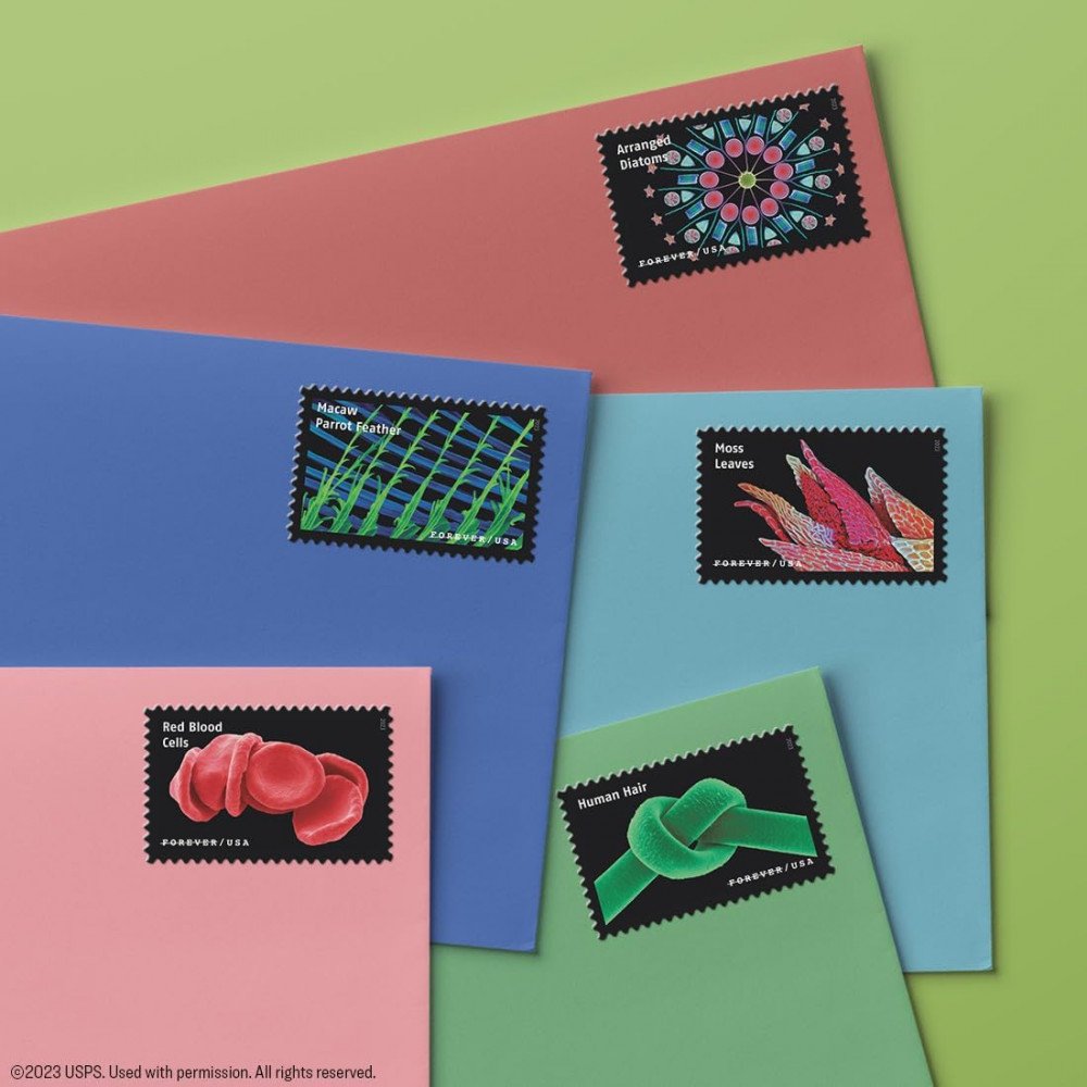 2023 Life Magnified Forever Postage Stamps Explores Life on Earth 2023 Life Magnified Forever Postage Stamps Explores Life on Earth