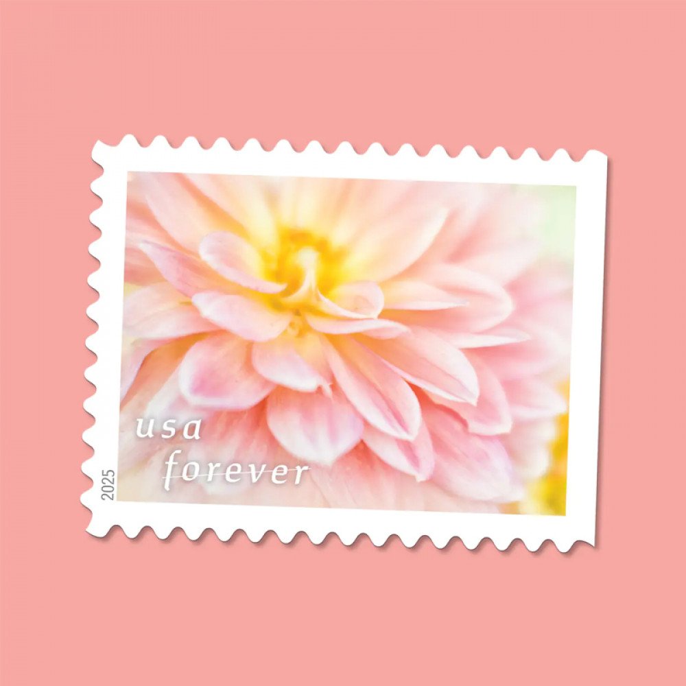 2025 Dahlias Stamps Book of 20 2025 Dahlias Stamps Book of 20