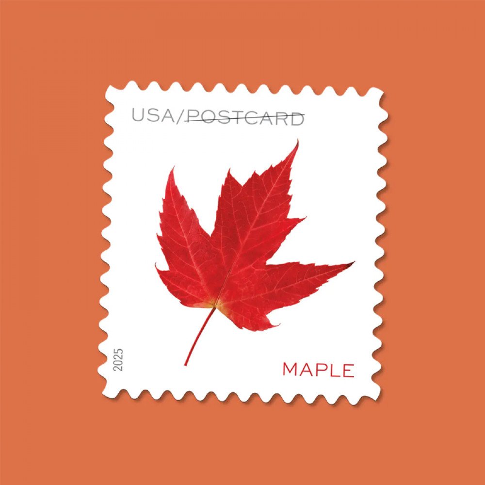 2025 Vibrant Leaves Postcard Stamps, 1 Roll of 100 Pcs Postcard |Multiple Stamp Designs andFormats 2025 Vibrant Leaves Postcard Stamps, 1 Roll of 100 Pcs Postcard |Multiple Stamp Designs andFormats
