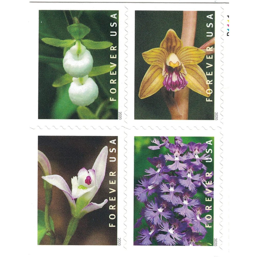 (2020) USPS Wild Orchids Forever Postage Stamps (2020) USPS Wild Orchids Forever Postage Stamps