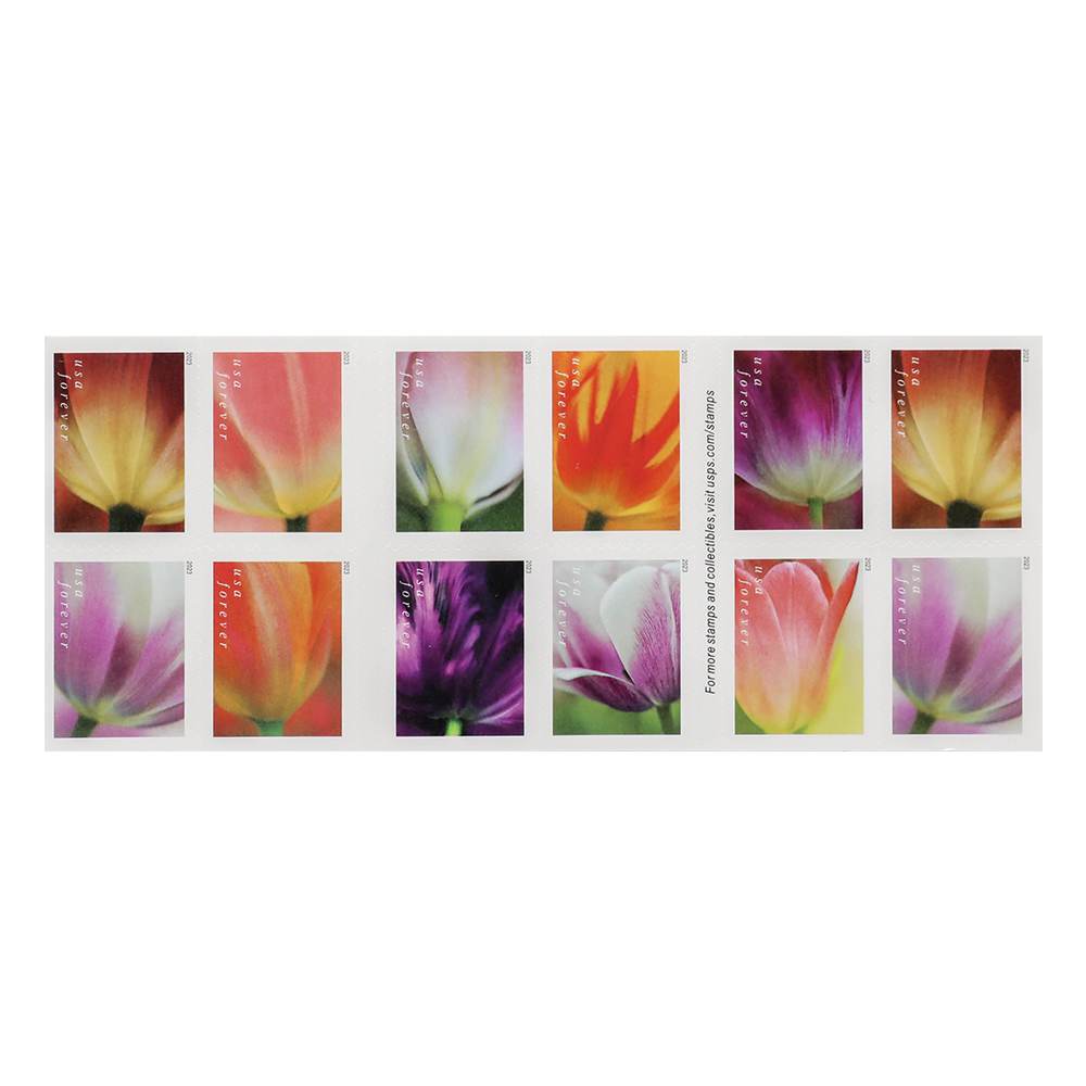 2023 US Tulip Blossoms First-Class Forever Stamps 2023 US Tulip Blossoms First-Class Forever Stamps