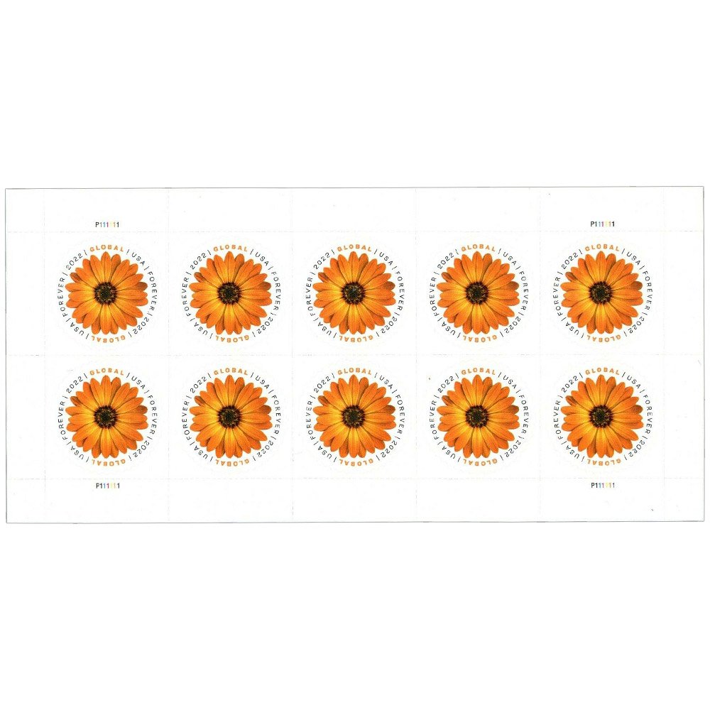 (2022) USPS Global Forever International Mail African Daisy Postage Stamps (2022) USPS Global Forever International Mail African Daisy Postage Stamps