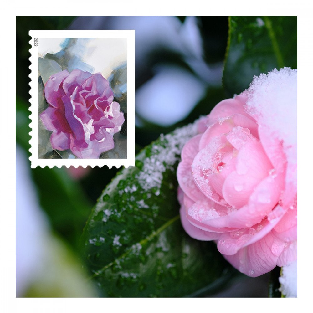 2022 USPS Snowy Garden Beauty Forever Postage Stamps 2022 USPS Snowy Garden Beauty Forever Postage Stamps