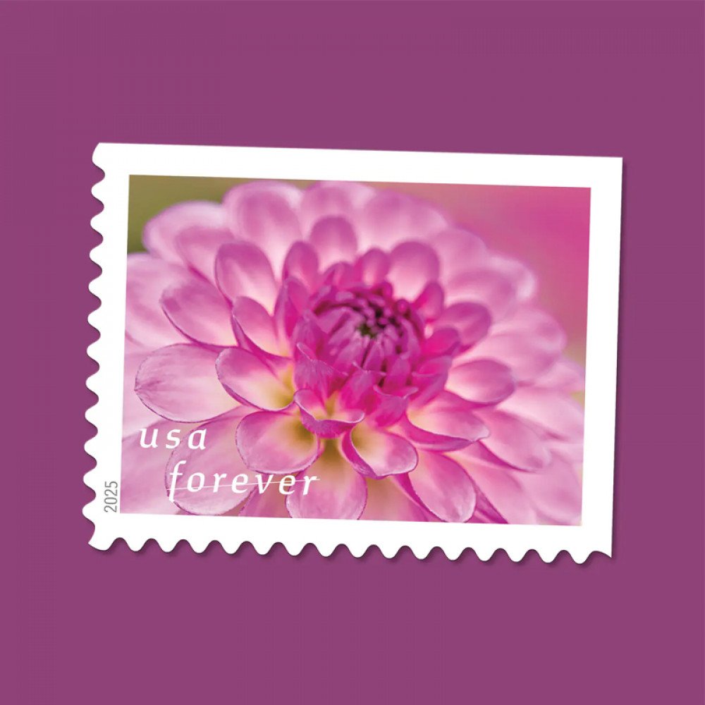 2025 Dahlias Stamps Book of 20 2025 Dahlias Stamps Book of 20