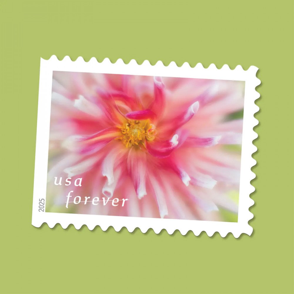 2025 Dahlias Stamps Book of 20 2025 Dahlias Stamps Book of 20