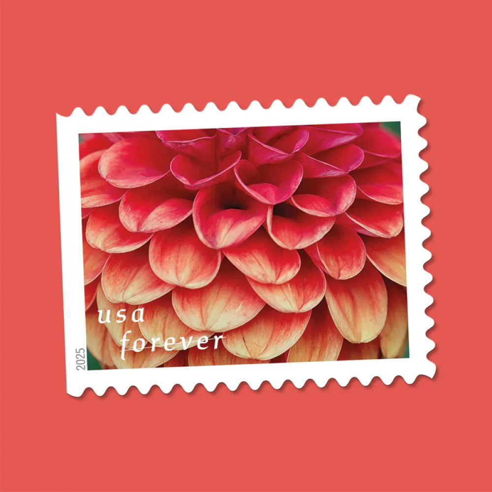 2025 Dahlias Stamps Book of 20 2025 Dahlias Stamps Book of 20